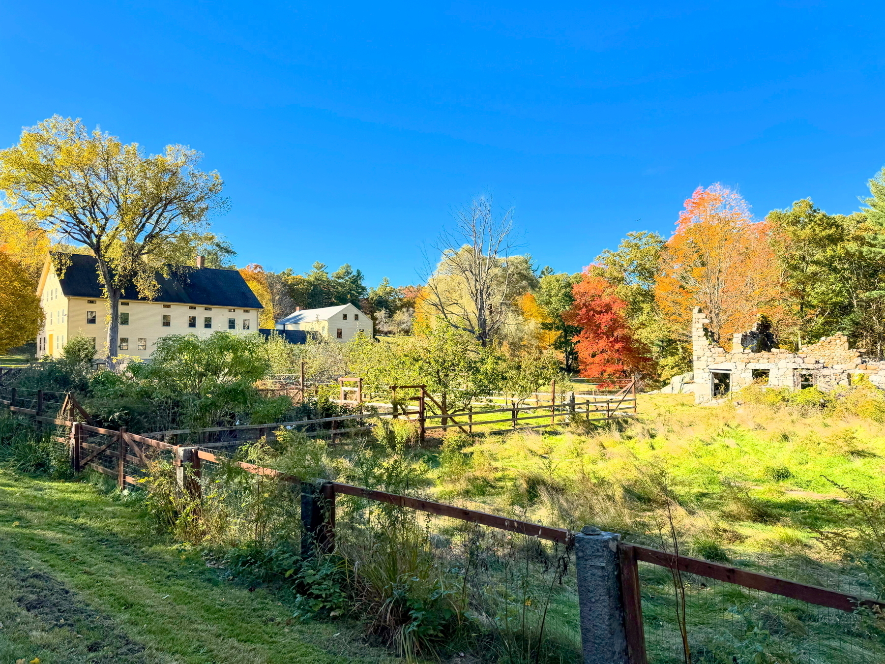 Auto-generated description: A rural scene featuring a couple of houses surrounded by trees with autumn foliage, a grassy field, and a wooden fence under a clear blue sky.